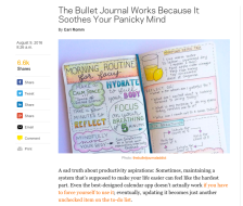 I was featured in NYMag.com! | thebulletjournaladdict.com